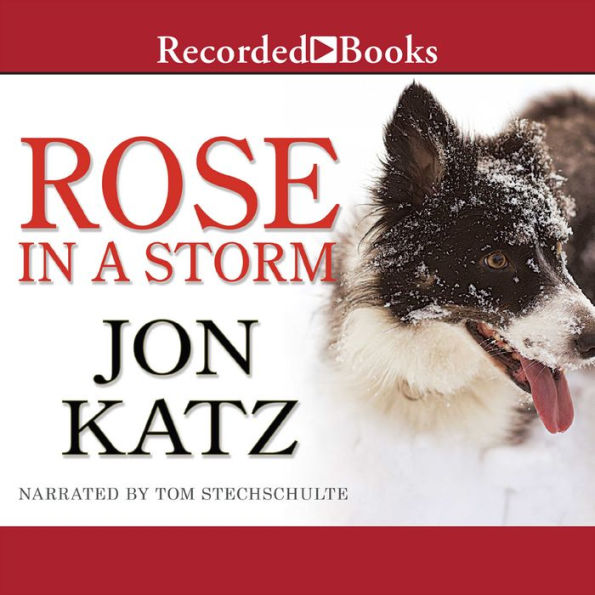 Rose in a Storm: A Novel