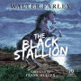 The Black Stallion