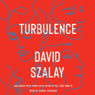 Turbulence: A Novel