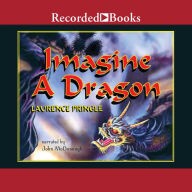 Imagine a Dragon