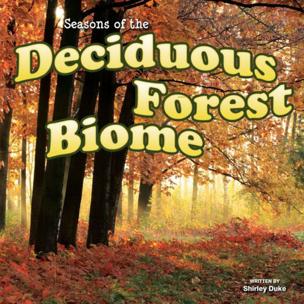 Seasons Of The Decidous Forest Biome