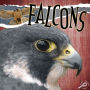Falcons: Rourke Discovery Library