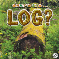 What's In A Log?