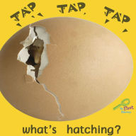 Tap, Tap, Tap¿ What's Hatching?