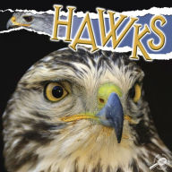 Hawks: Rourke Discovery Library