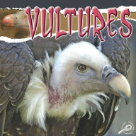 Vultures: Rourke Discovery Library