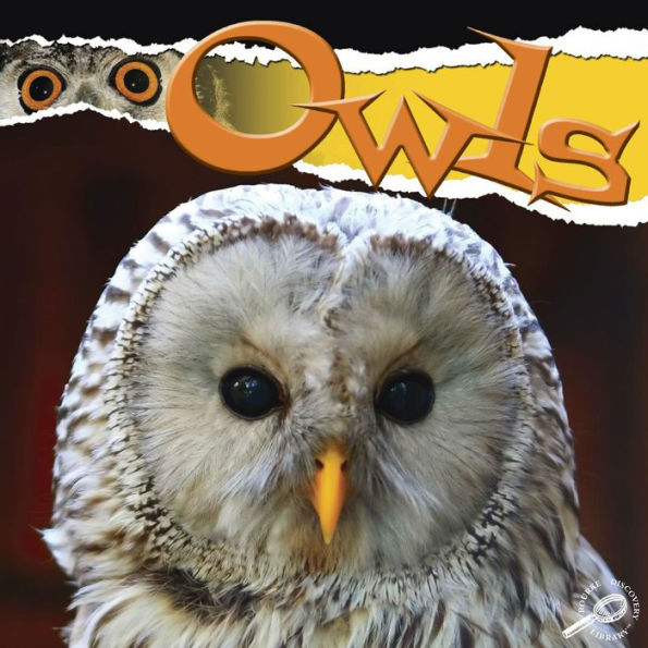 Owls: Rourke Discovery Library