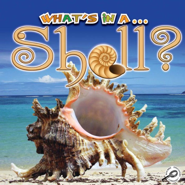 What's In A Shell?