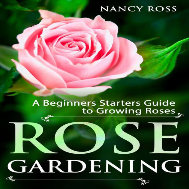 Caring for Roses: A Beginner's Rose Growing Guide