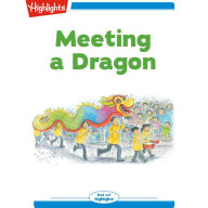 Meeting a Dragon