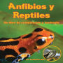 Anfibios y Reptiles: un libro de comparación y contraste