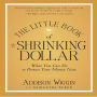 The Little Book of the Shrinking Dollar: What You Can Do to Protect Your Money Now