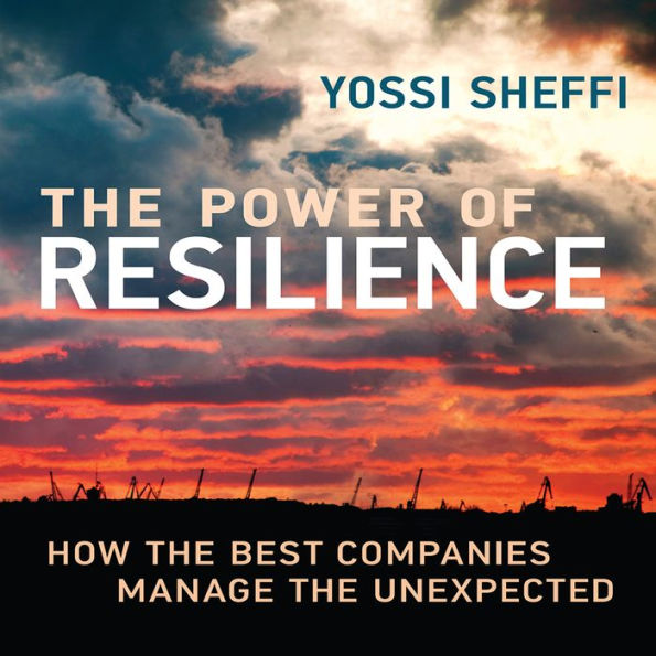 The Power of Resilience: How the Best Companies Manage the Unexpected