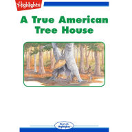 A True American Treehouse