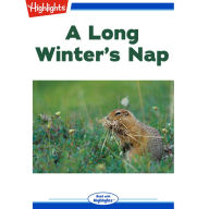 A Long Winter's Nap