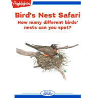 Bird's Nest Safari: How many birds' nests can you spot?