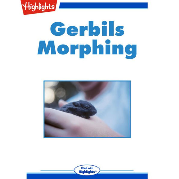 Gerbils Morphing