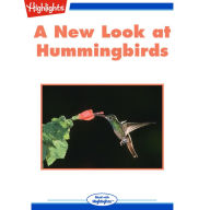 A New Look at Hummingbirds