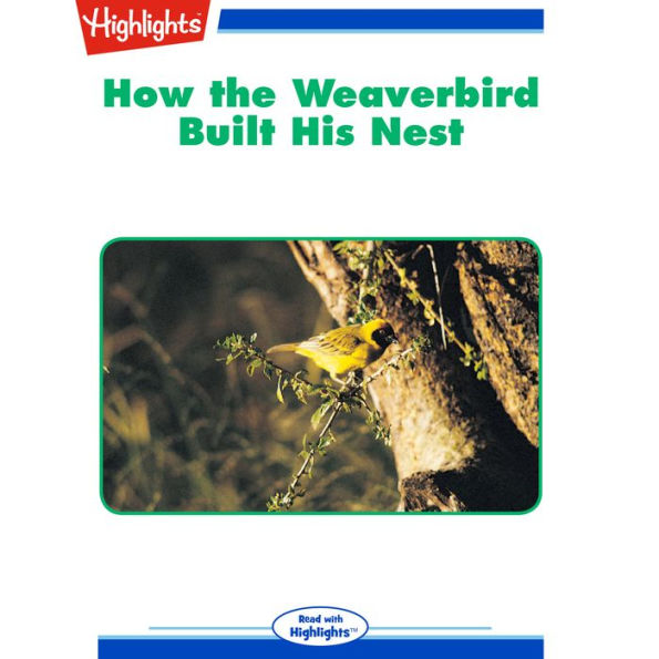 How the Weaverbird Built His Nest