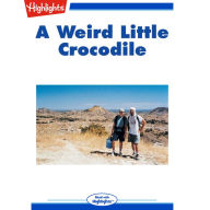 A Weird Little Crocodile