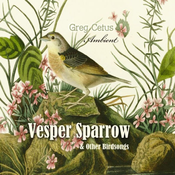 Vesper Sparrow and Other Bird Songs