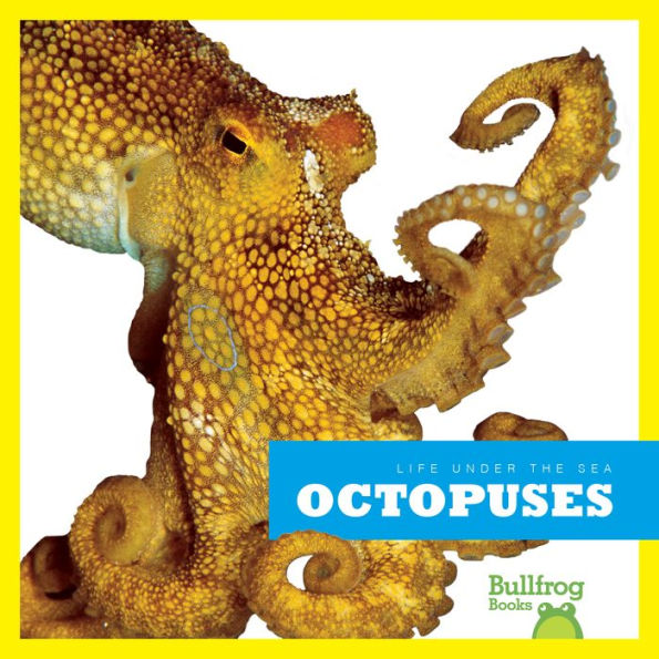 Octopuses