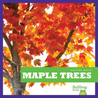 Maple Trees