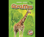 Giraffes