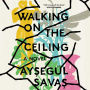 Walking on the Ceiling: A Novel
