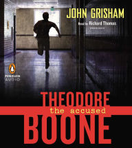 Theodore Boone, Book 3: The Accused