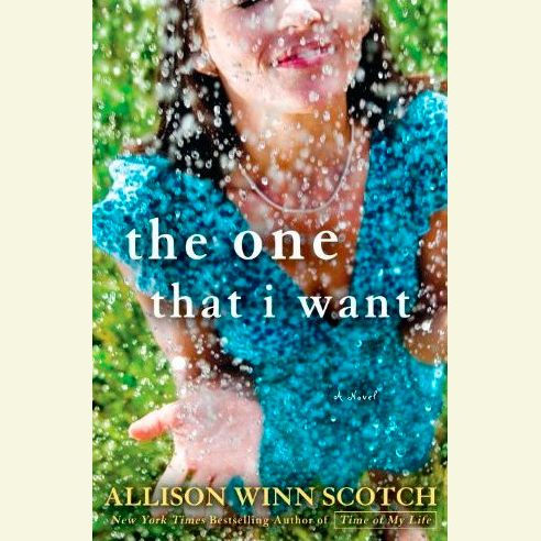 The One That I Want: A Novel