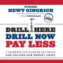 Drill Here, Drill Now, Pay Less: A Handbook for Slashing Gas Prices and Solving Our Energy Crisis