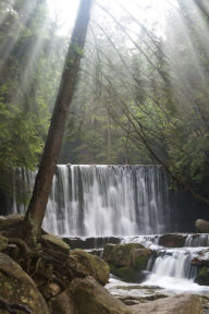 Living with Mindfulness, Purpose & Peace (With Soothing Nature Sounds): Changing Your Life From Within