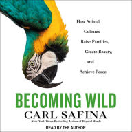 Becoming Wild: How Animal Cultures Raise Families, Create Beauty, and Achieve Peace