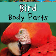 Bird Body Parts