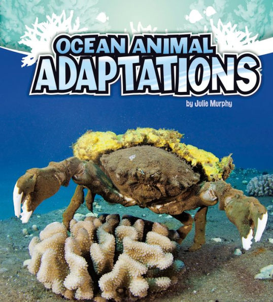 Ocean Animal Adaptations