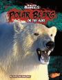 Polar Bears: On the Hunt