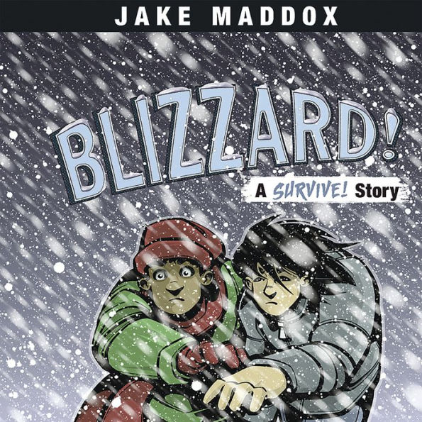 Blizzard!: A Survive! Story