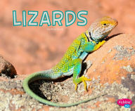 Lizards