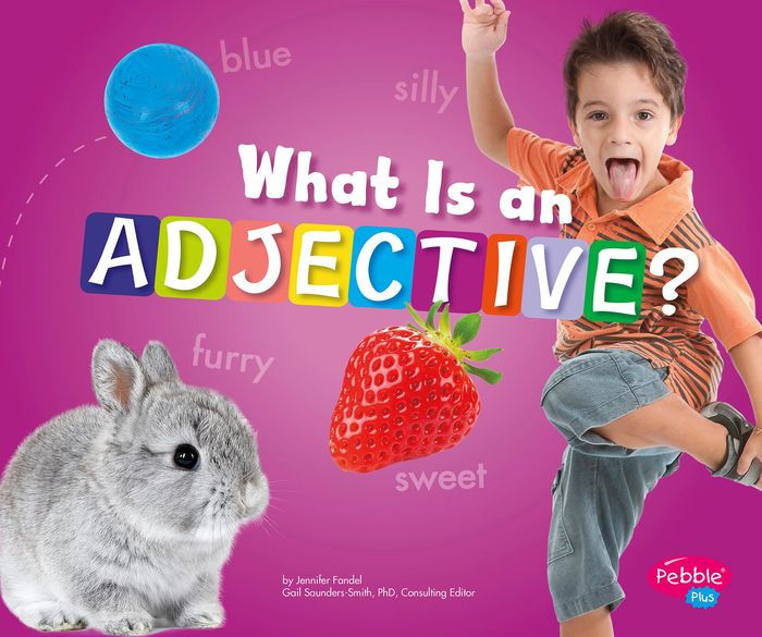What Is an Adjective? by Jennifer Fandel eBook (NOOK Kids) Barnes