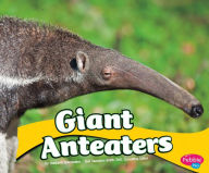 Giant Anteaters