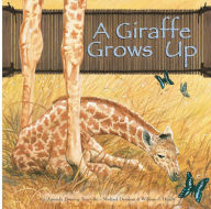 A Giraffe Grows Up