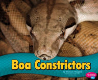 Boa Constrictors