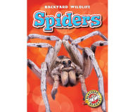 Spiders