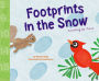 Footprints in the Snow: Counting by Twos