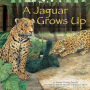 A Jaguar Grows Up