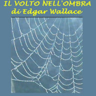 Volto nell'ombra, Il