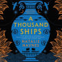 A Thousand Ships: A Novel