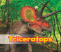 Triceratops