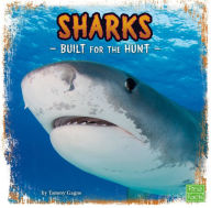 Sharks: Built for the Hunt